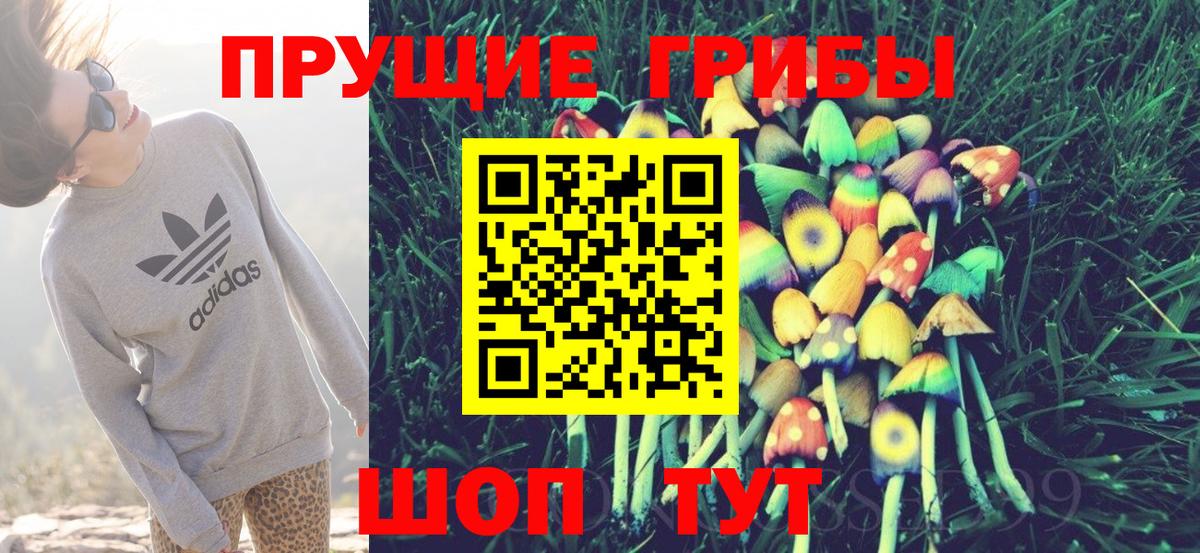 Галлюциногенные грибы мухоморы Узловая